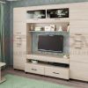 Гостиная Камелия 10 цвет Ясень Асахи (АС)