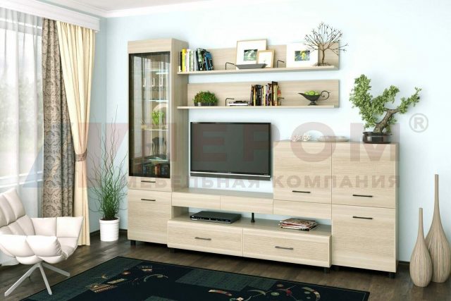 Гостиная Камелия 5 в цвете Ясень Асахи (АС)