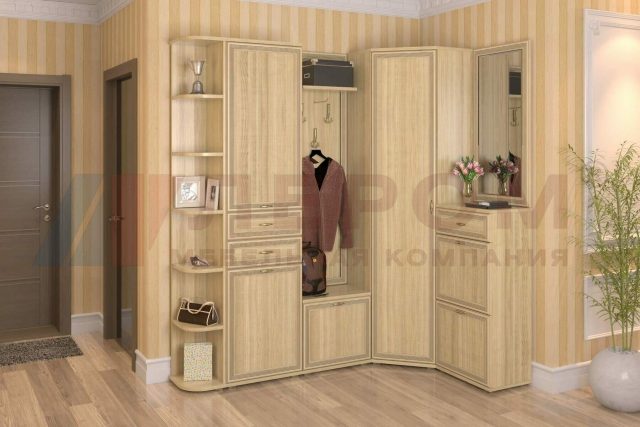Прихожая Карина 5 АС Лером цвет Ясень Асахи (АС)